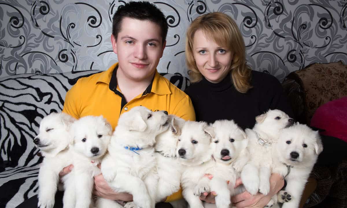 How To Start A Dog Breeding Business StartUp 101