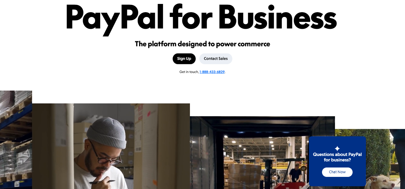 PayPal Alternatives for Business